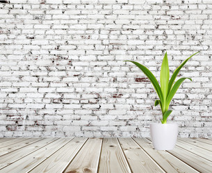 Similar image 5504555