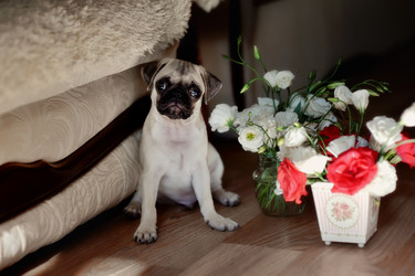 Similar image 5504566