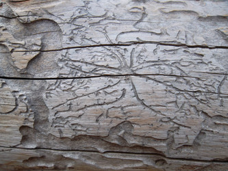 Similar image 5504617