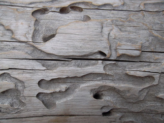 Similar image 5504618