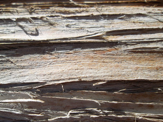 Similar image 5504621