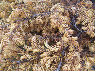 Similar image 5504626