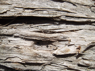 Similar image 5504635