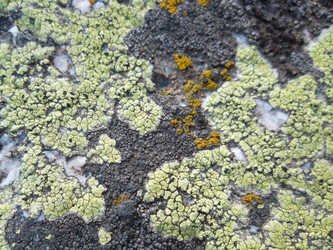 Similar image 5504636