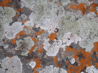 Similar image 5504637