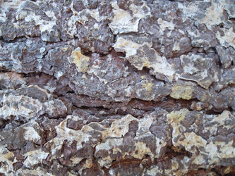 Similar image 5504639