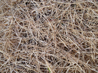 Similar image 5504640