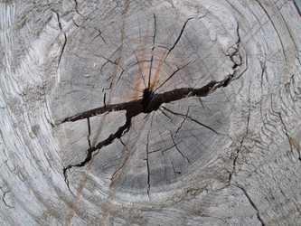 Similar image 5504644