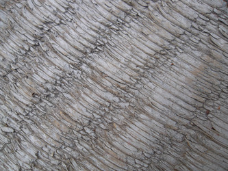 Similar image 5504645