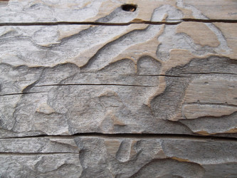 Similar image 5504646