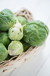 Similar image 5504691