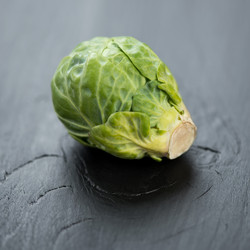 Similar image 5504719