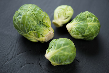 Similar image 5504720