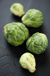 Similar image 5504721