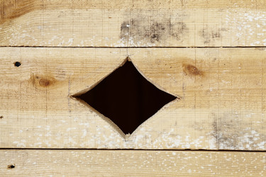 Similar image 5504740