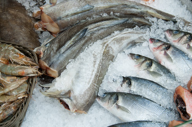 Similar image 5504749