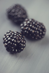 Similar image 5504753