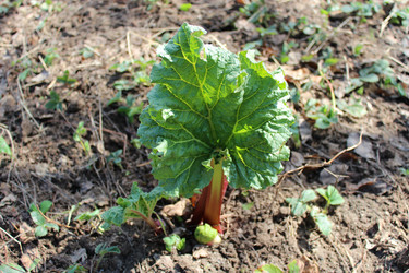 Similar image 5504857