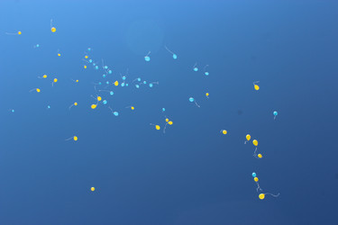 Similar image 5504870