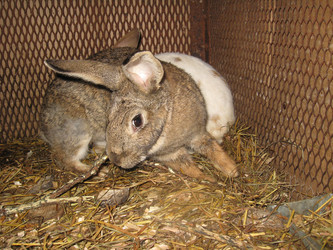 Similar image 5504886