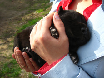 Similar image 5504887