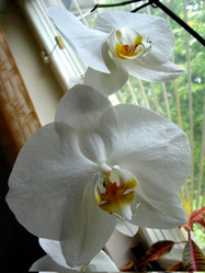 Similar image 5504898