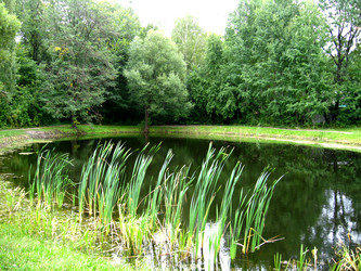 Similar image 5504906