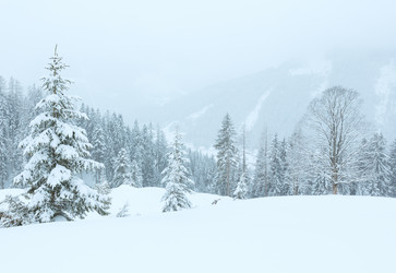 Similar image 5504912