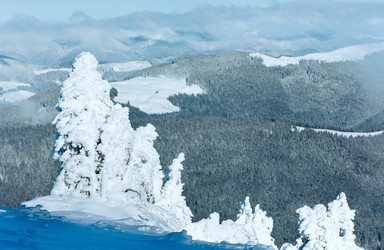 Similar image 5504949