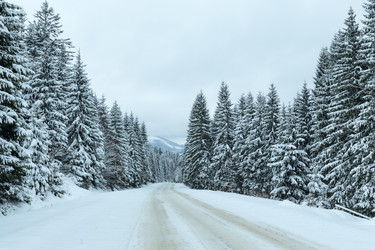 Similar image 5504966