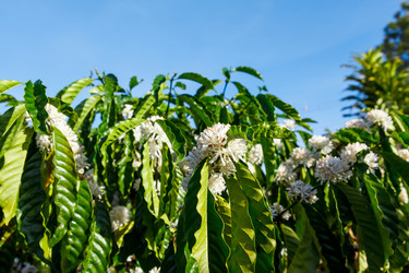 Similar image 5504985