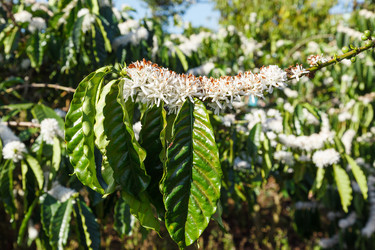 Similar image 5504986