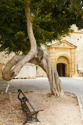 Similar image 5505012