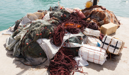 Similar image 5505109