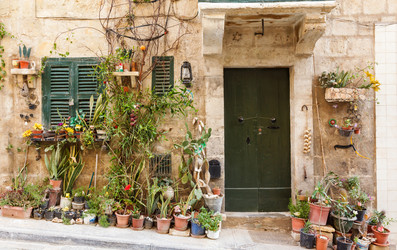 Similar image 5505199