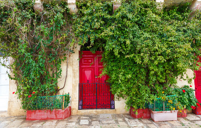 Similar image 5505209