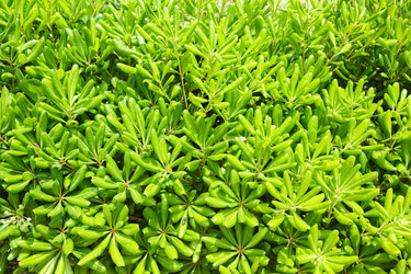 Similar image 5505230