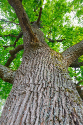 Similar image 5505310