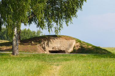 Similar image 5505323