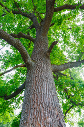 Similar image 5505326