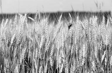 Similar image 5505346