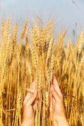 Similar image 5505348