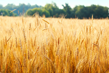 Similar image 5505350