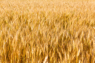 Similar image 5505352