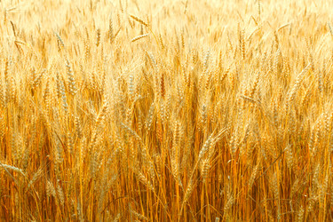 Similar image 5505353