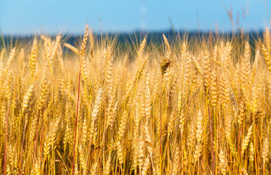 Similar image 5505354