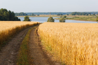 Similar image 5505356