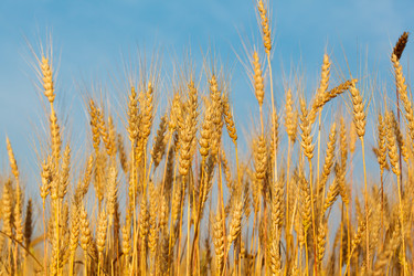 Similar image 5505357