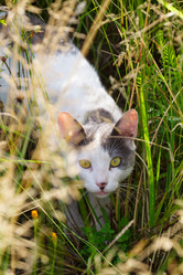 Similar image 5505359