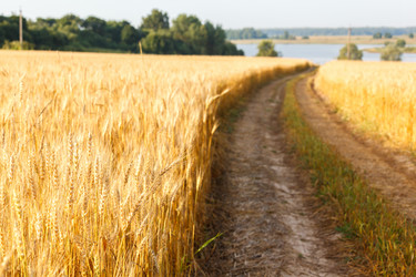 Similar image 5505365